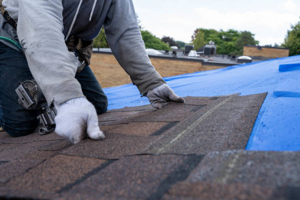 Best Roof Gutter Cleaning  in Hopewell, NJ